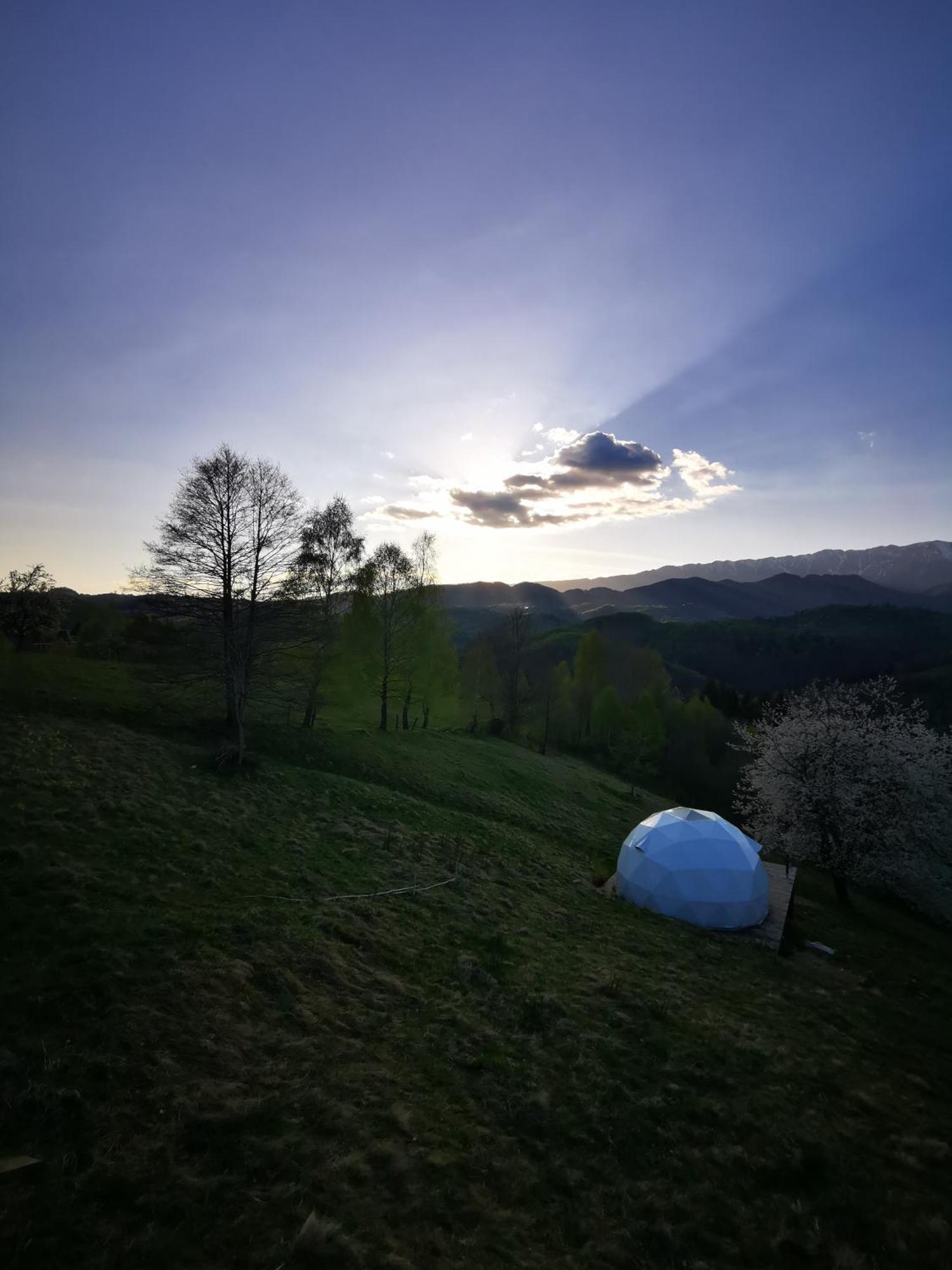 Отель Glamping Zazen Drumu Carului Экстерьер фото
