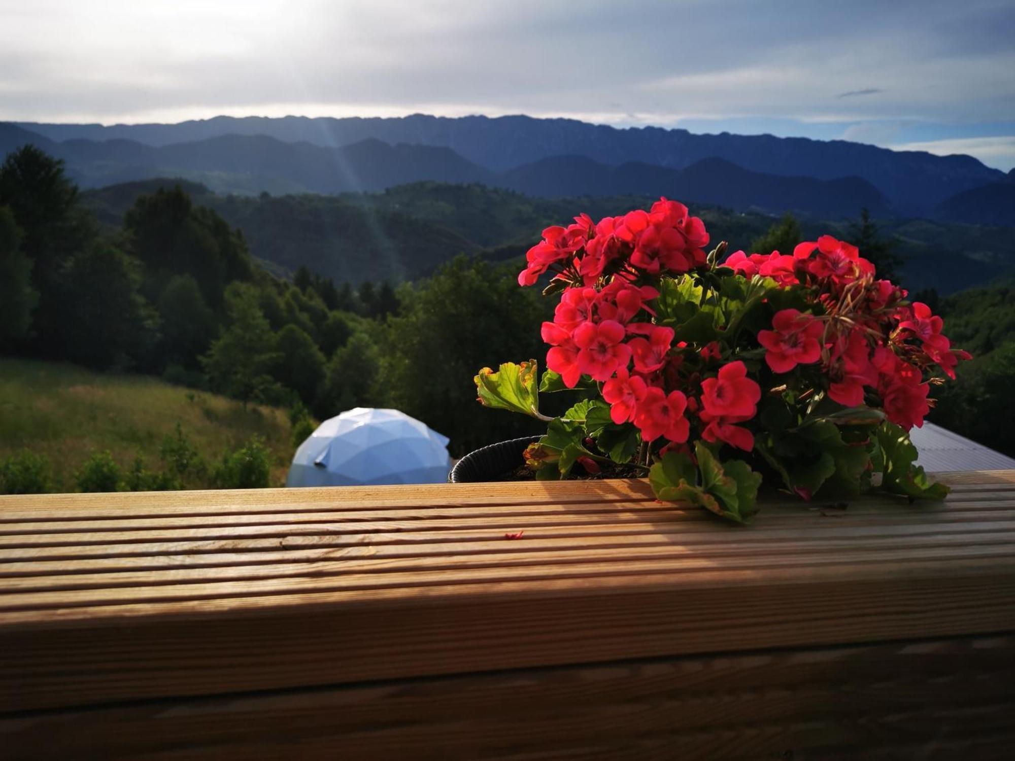 Отель Glamping Zazen Drumu Carului Экстерьер фото
